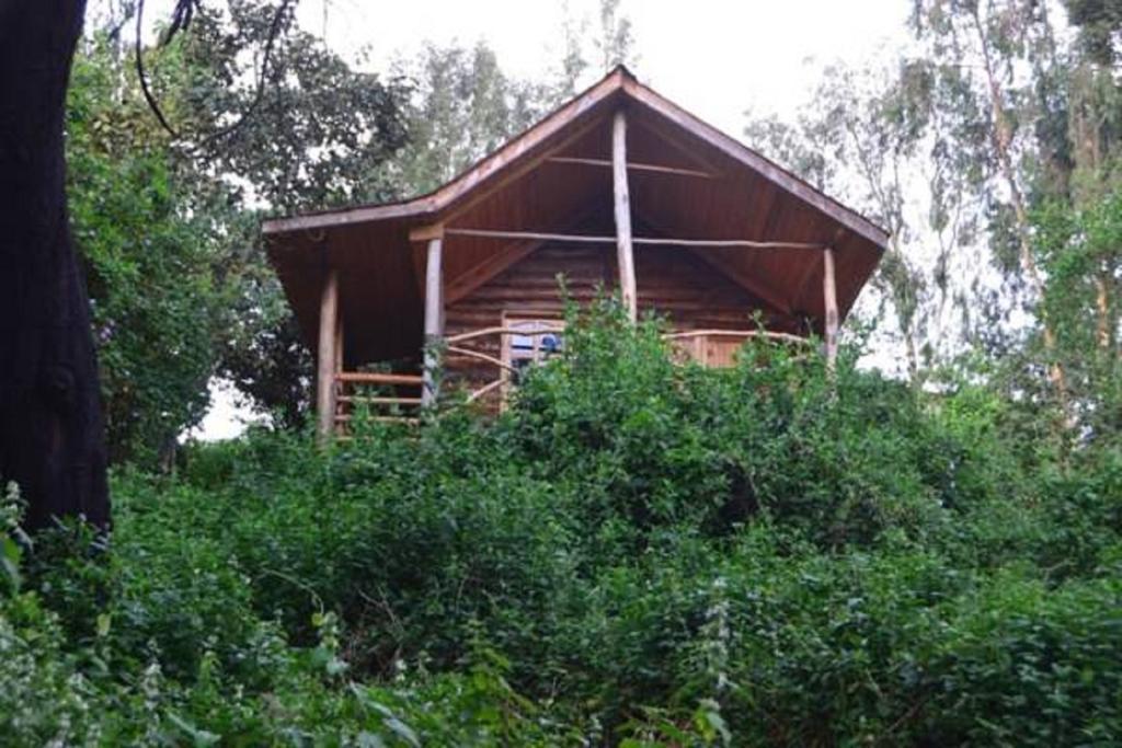 Lake Bunyonyi Eco Resort Chabahinga Phòng bức ảnh