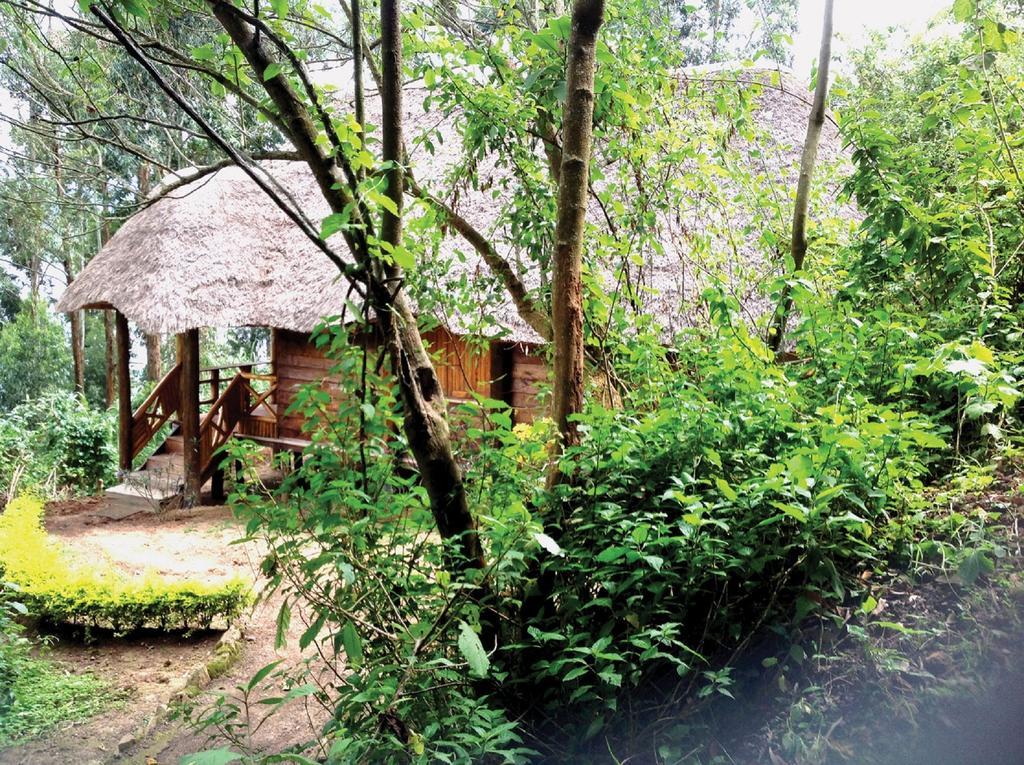 Lake Bunyonyi Eco Resort Chabahinga Ngoại thất bức ảnh